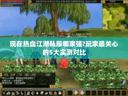 现在热血江湖私服哪家强?玩家最关心的5大实测对比