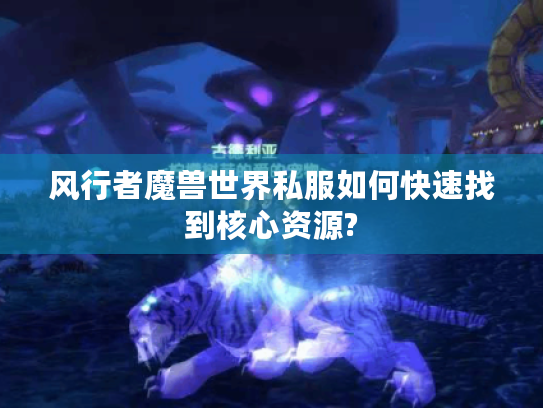 风行者魔兽世界私服如何快速找到核心资源?
