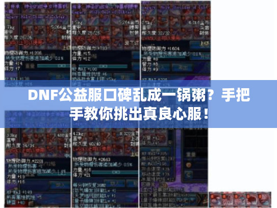 DNF公益服口碑乱成一锅粥？手把手教你挑出真良心服！