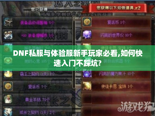 DNF私服与体验服新手玩家必看,如何快速入门不踩坑?