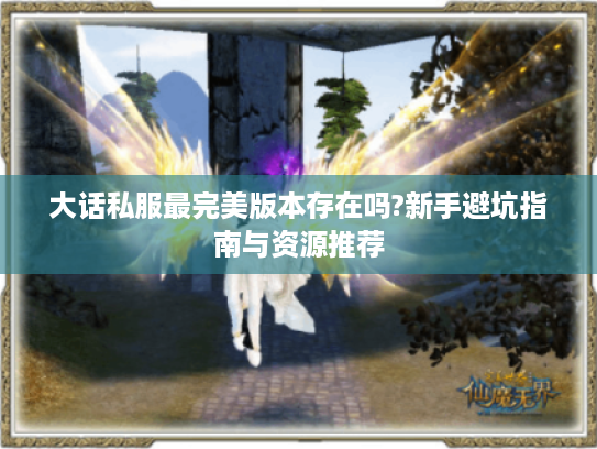 大话私服最完美版本存在吗?新手避坑指南与资源推荐