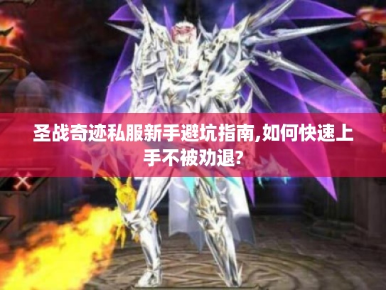 圣战奇迹私服新手避坑指南,如何快速上手不被劝退?