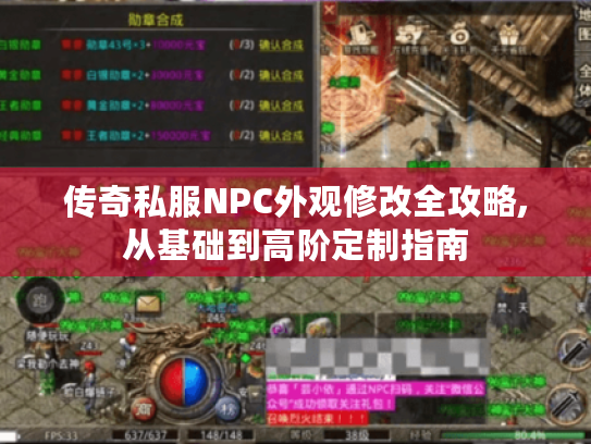 传奇私服NPC外观修改全攻略,从基础到高阶定制指南
