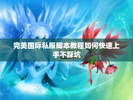 完美国际私服脚本教程如何快速上手不踩坑