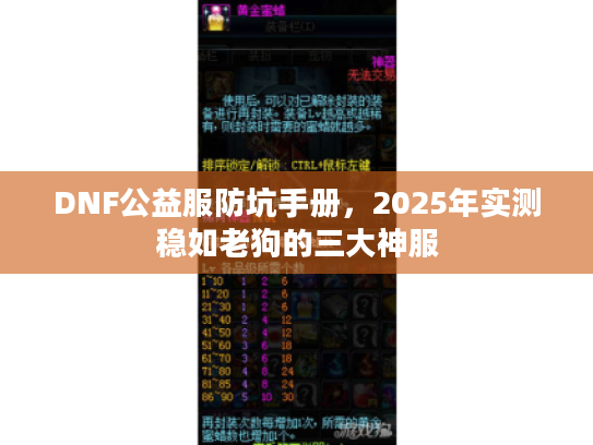 DNF公益服防坑手册，2025年实测稳如老狗的三大神服