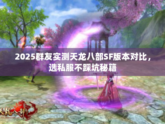 2025群友实测天龙八部SF版本对比，选私服不踩坑秘籍