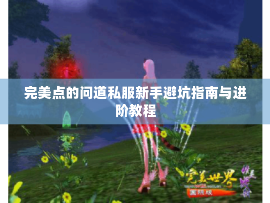 完美点的问道私服新手避坑指南与进阶教程