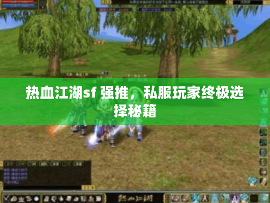 热血江湖sf 强推，私服玩家终极选择秘籍