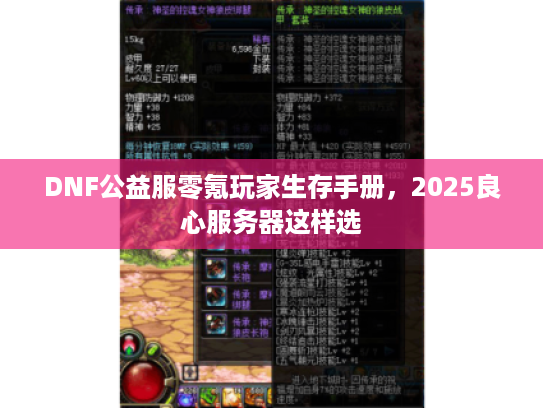 DNF公益服零氪玩家生存手册，2025良心服务器这样选