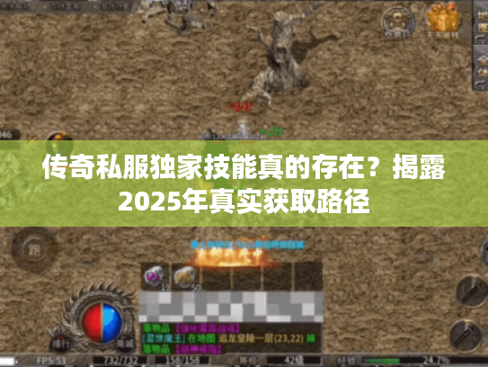 传奇私服独家技能真的存在？揭露2025年真实获取路径