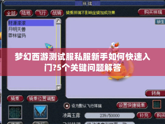 梦幻西游测试服私服新手如何快速入门?5个关键问题解答