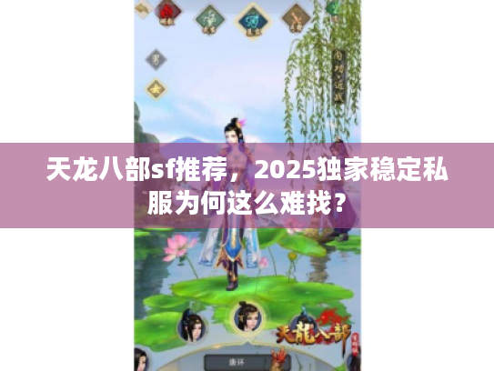 天龙八部sf推荐，2025独家稳定私服为何这么难找？