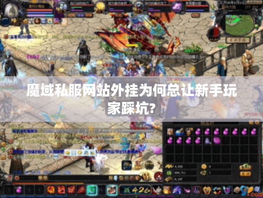 魔域私服网站外挂为何总让新手玩家踩坑?