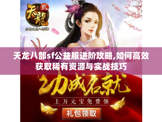 天龙八部sf公益服进阶攻略,如何高效获取稀有资源与实战技巧