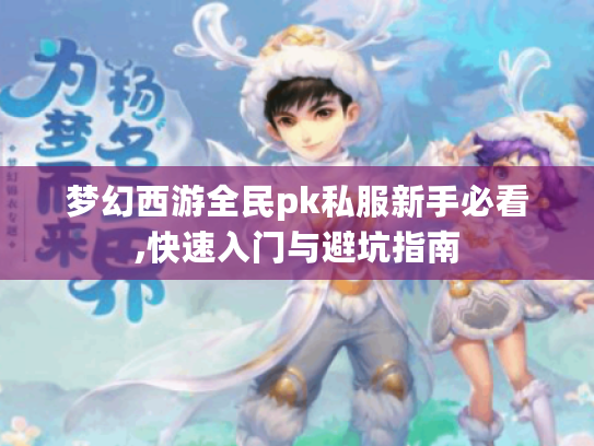 梦幻西游全民pk私服新手必看,快速入门与避坑指南