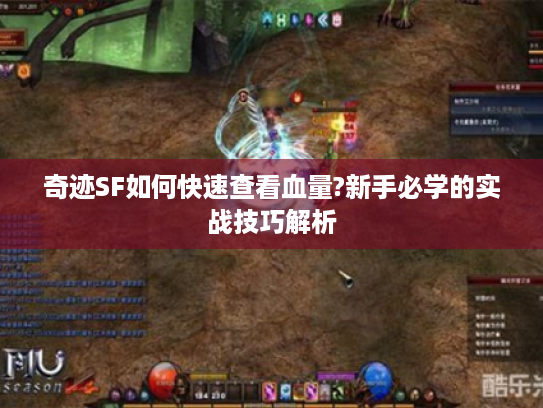 奇迹SF如何快速查看血量?新手必学的实战技巧解析