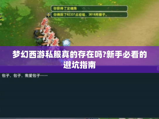 梦幻西游私服真的存在吗?新手必看的避坑指南