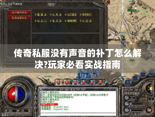 传奇私服没有声音的补丁怎么解决?玩家必看实战指南 传奇私服没有声音的补丁怎么解决?玩家必看实战指南