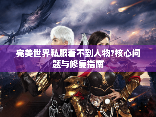 完美世界私服看不到人物?核心问题与修复指南