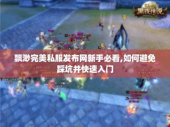 飘渺完美私服发布网新手必看,如何避免踩坑并快速入门