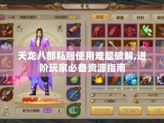 天龙八部私服使用难题破解,进阶玩家必备资源指南