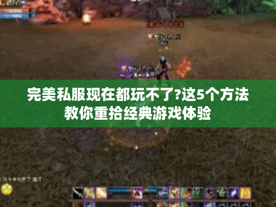 完美私服现在都玩不了?这5个方法教你重拾经典游戏体验