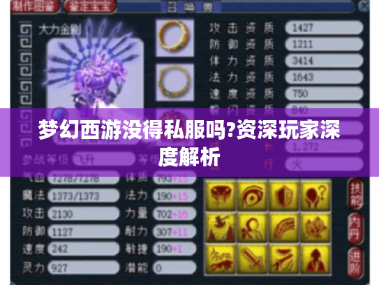 梦幻西游没得私服吗?资深玩家深度解析