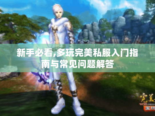 新手必看,多玩完美私服入门指南与常见问题解答 新手必看,多玩完美私服入门指南与常见问题解答