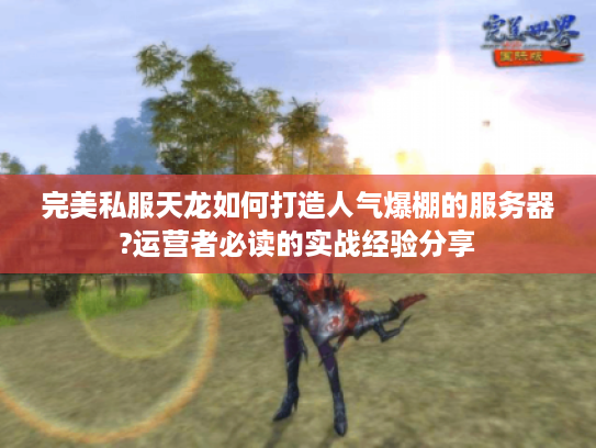 完美私服天龙如何打造人气爆棚的服务器?运营者必读的实战经验分享