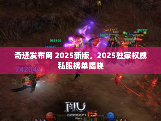 奇迹发布网 2025新版,2025独家权威私服榜单揭晓 奇迹发布网 2025新版,2025独家权威私服榜单揭晓