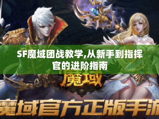 SF魔域团战教学,从新手到指挥官的进阶指南