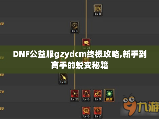 DNF公益服gzydcm终极攻略,新手到高手的蜕变秘籍 DNF公益服gzydcm终极攻略,新手到高手的蜕变秘籍