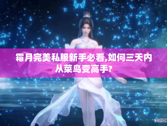霜月完美私服新手必看,如何三天内从菜鸟变高手?