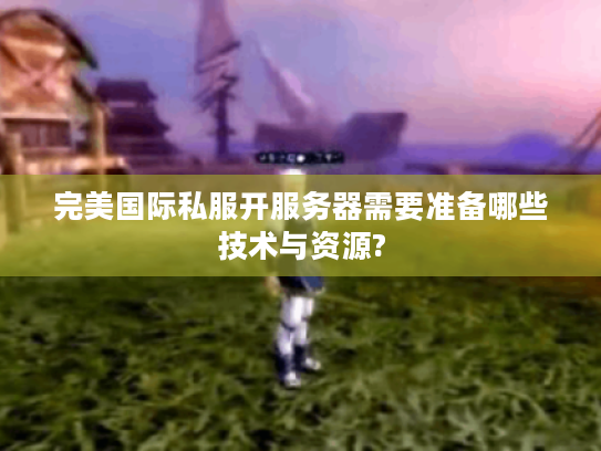 完美国际私服开服务器需要准备哪些技术与资源?