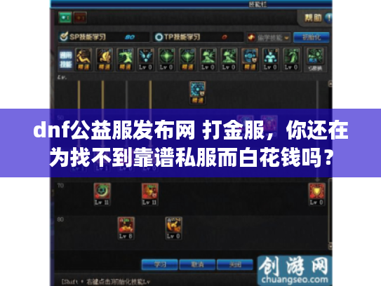 dnf公益服发布网 打金服，你还在为找不到靠谱私服而白花钱吗？