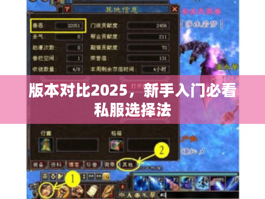 版本对比2025，新手入门必看私服选择法