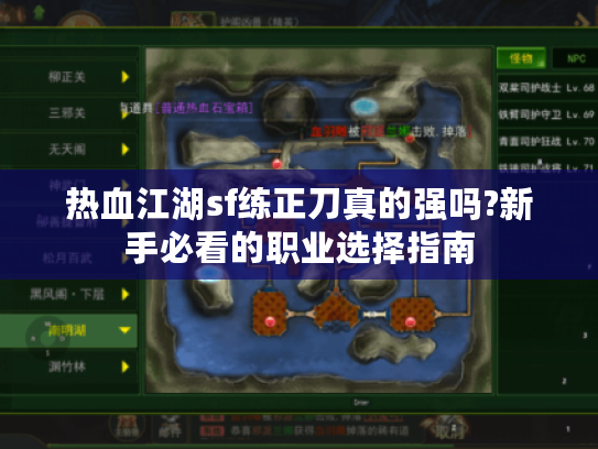 热血江湖sf练正刀真的强吗?新手必看的职业选择指南