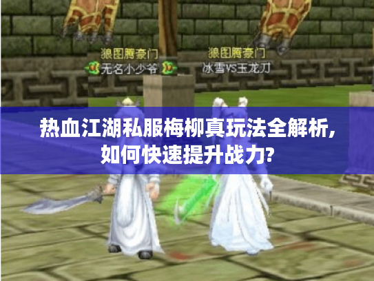 热血江湖私服梅柳真玩法全解析,如何快速提升战力?