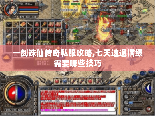 一剑诛仙传奇私服攻略,七天速通满级需要哪些技巧