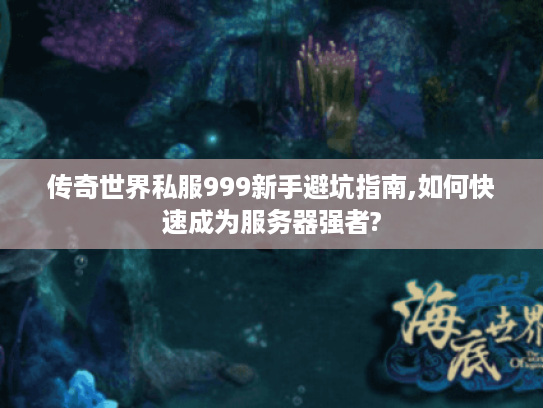 传奇世界私服999新手避坑指南,如何快速成为服务器强者?