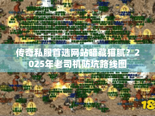 传奇私服首选网站暗藏猫腻？2025年老司机防坑路线图