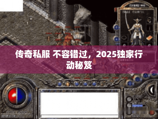 传奇私服 不容错过，2025独家行动秘笈