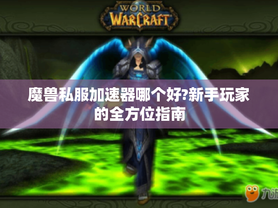 魔兽私服加速器哪个好?新手玩家的全方位指南