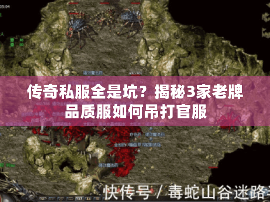 传奇私服全是坑？揭秘3家老牌品质服如何吊打官服