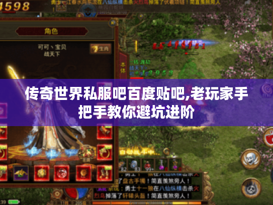 传奇世界私服吧百度贴吧,老玩家手把手教你避坑进阶