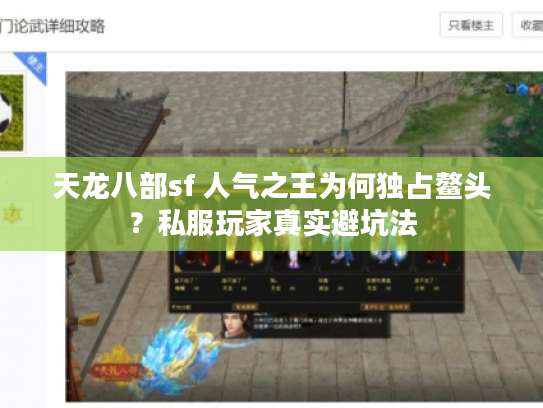 天龙八部sf 人气之王为何独占鳌头？私服玩家真实避坑法