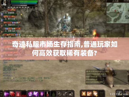 奇迹私服市场生存指南,普通玩家如何高效获取稀有装备?