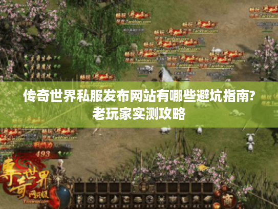 传奇世界私服发布网站有哪些避坑指南?老玩家实测攻略