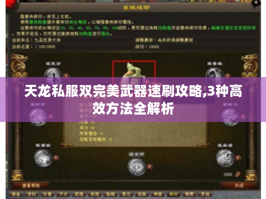 天龙私服双完美武器速刷攻略,3种高效方法全解析 天龙私服双完美武器速刷攻略,3种高效方法全解析