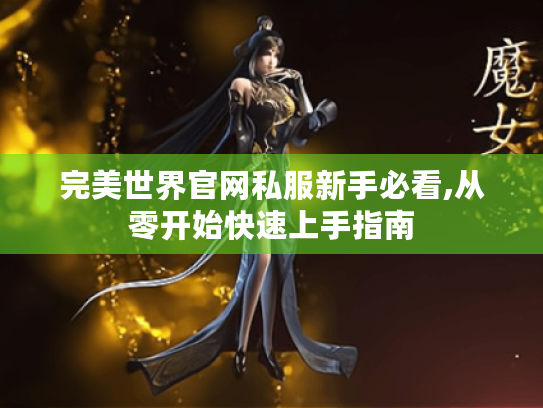 完美世界官网私服新手必看,从零开始快速上手指南